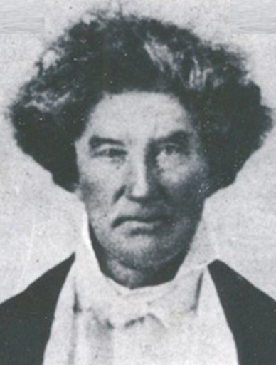 The Speculators: Waldo, Wornall, Ward and&nbsp;Armour